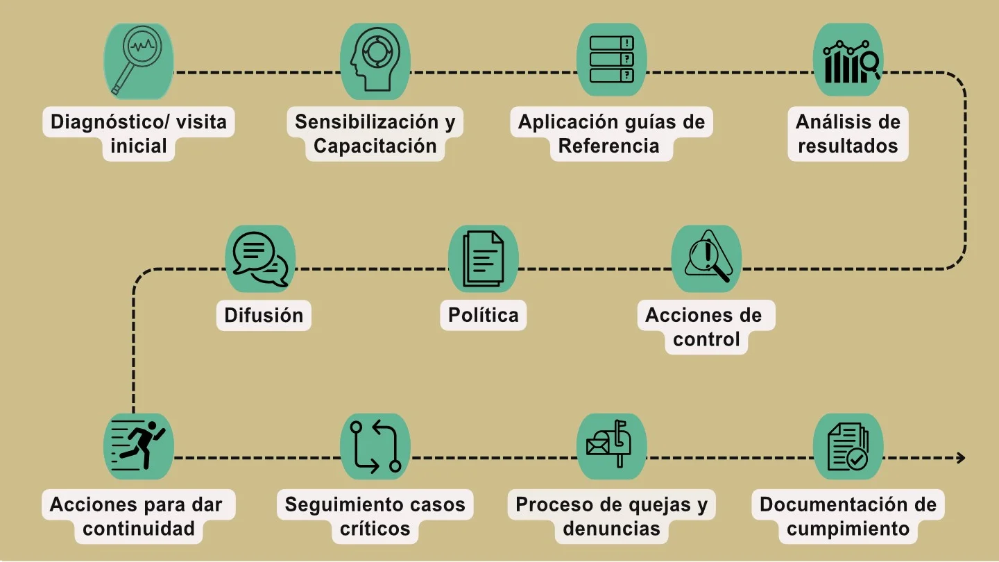Nuestro proceso para NOM-035